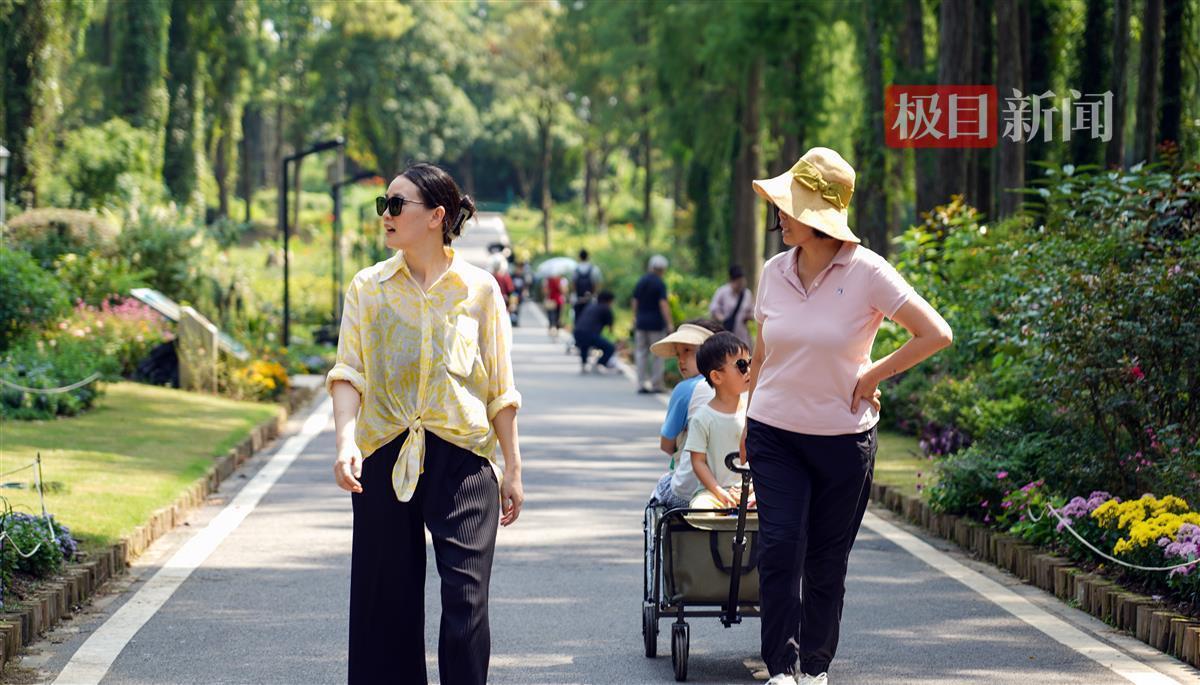 银河官网送彩金
